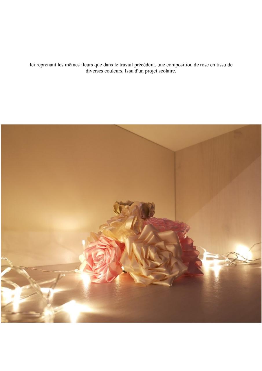 Aperçu du fichier PDF book.pdf