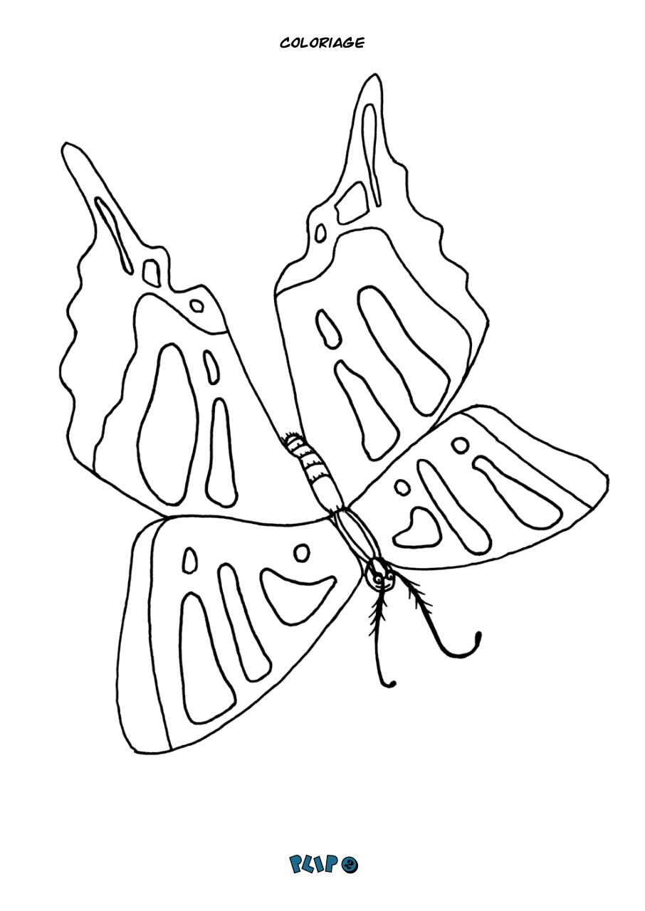 Aperçu du fichier PDF plip-magazine-numero-2.pdf