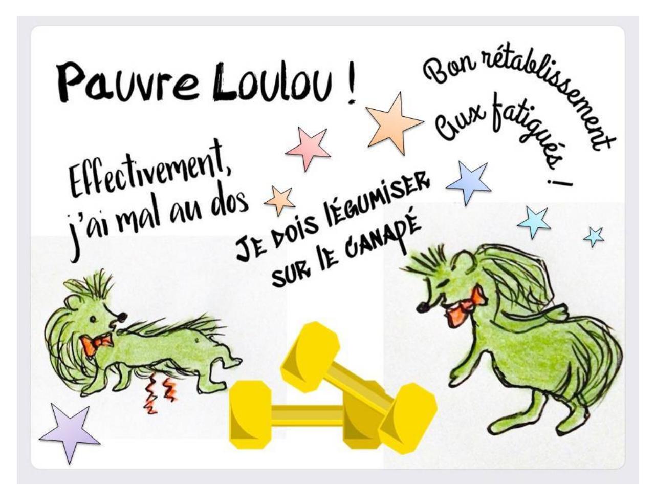 Aperçu du fichier PDF livret-2-coeur-sante-kipic-paule-girault.pdf