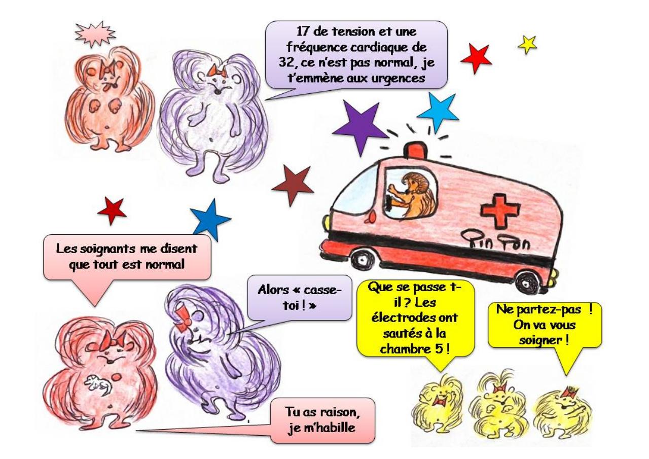 Aperçu du fichier PDF livret-4-coeur-sante-kipic-paule-girault.pdf