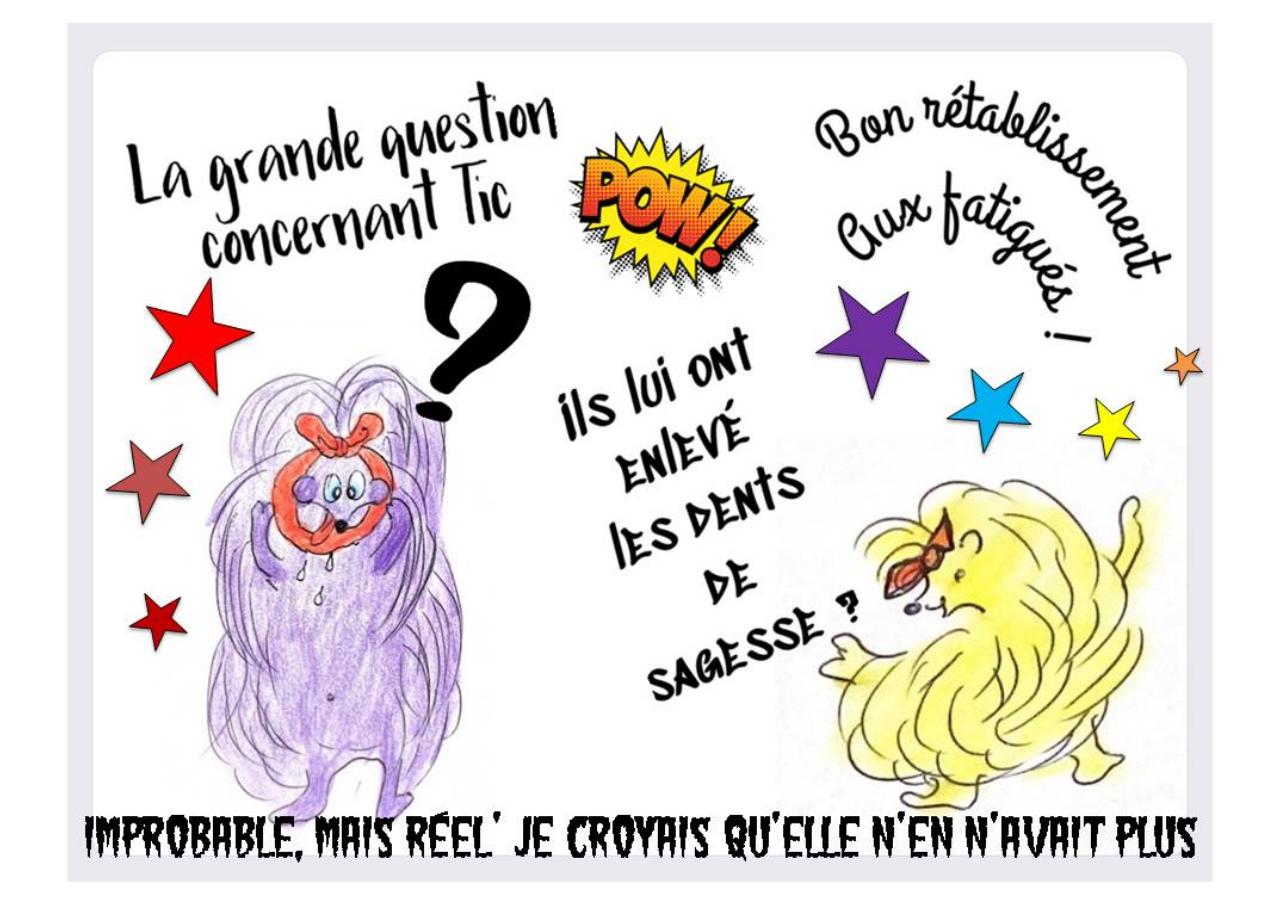 Aperçu du fichier PDF livret-4-coeur-sante-kipic-paule-girault.pdf