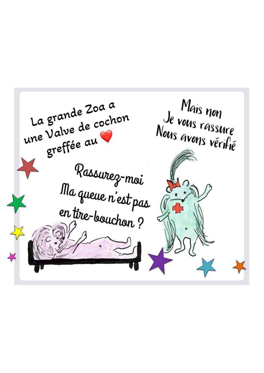 Aperçu du fichier PDF livret-5-coeur-sante-kipic-paule-girault.pdf